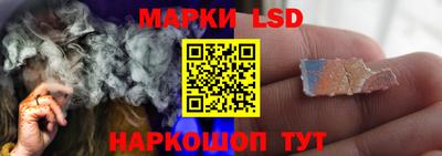 крисы Аргун