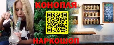 крисы Аргун