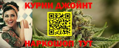 крисы Аргун