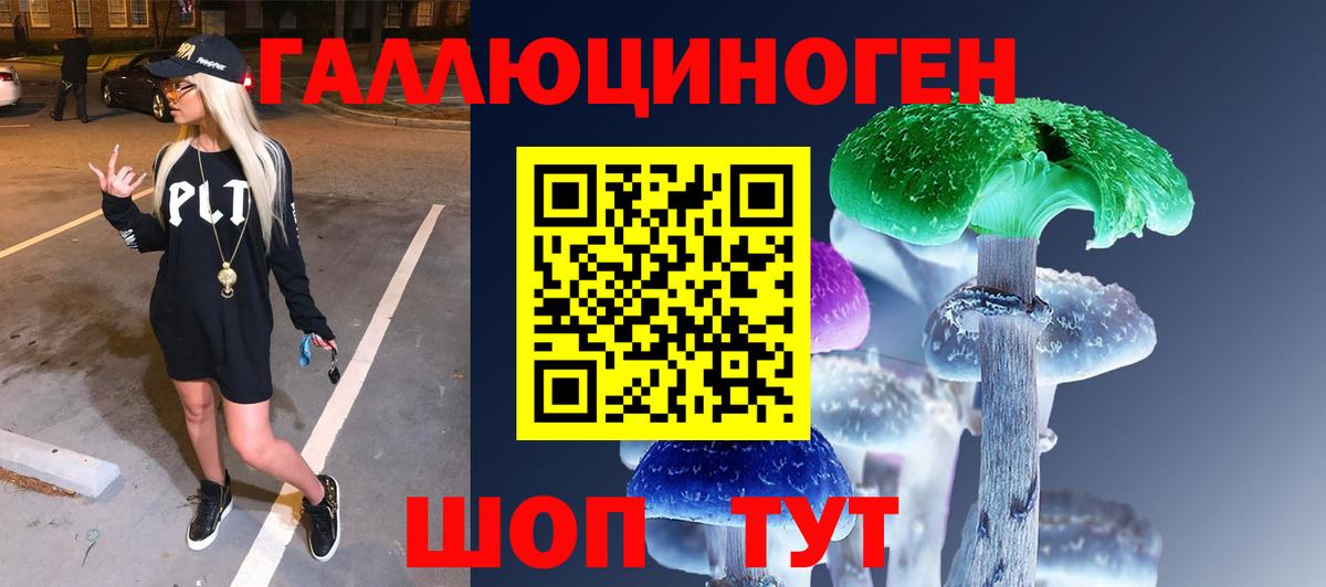 Галлюциногенные грибы Psilocybine cubensis  Вход с VPN  Верхний Уфалей 